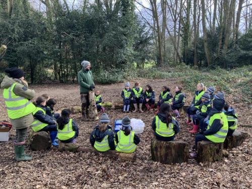 Bug hunting on Chorleywood Common
